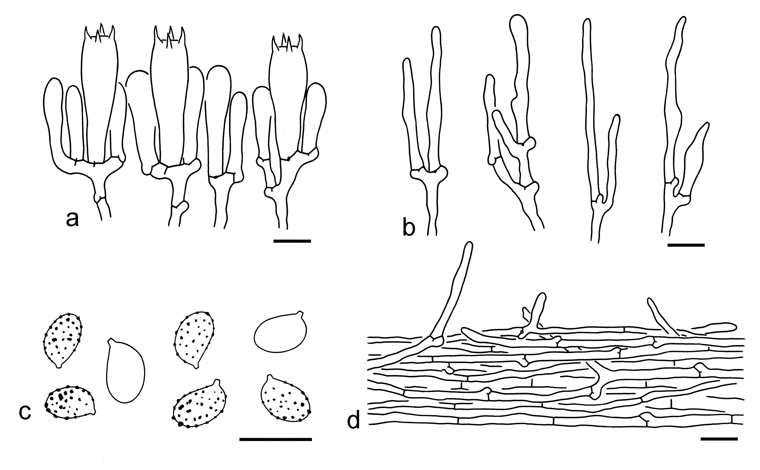 Figure 19